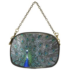 Peacock Four Spot Feather Bird Chain Purses (one Side)  by Nexatart