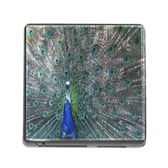 Peacock Four Spot Feather Bird Memory Card Reader (square) by Nexatart