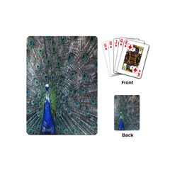 Peacock Four Spot Feather Bird Playing Cards (mini)  by Nexatart