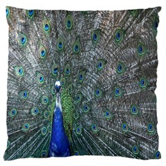 Peacock Four Spot Feather Bird Large Cushion Case (two Sides) by Nexatart