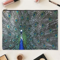 Peacock Four Spot Feather Bird Cosmetic Bag (xxxl)  by Nexatart