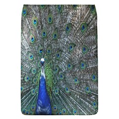 Peacock Four Spot Feather Bird Flap Covers (l)  by Nexatart