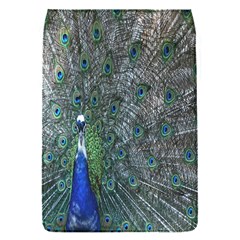 Peacock Four Spot Feather Bird Flap Covers (s)  by Nexatart