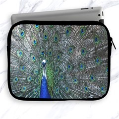 Peacock Four Spot Feather Bird Apple Ipad 2/3/4 Zipper Cases by Nexatart