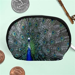 Peacock Four Spot Feather Bird Accessory Pouches (medium)  by Nexatart