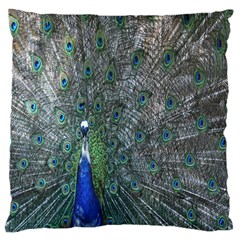 Peacock Four Spot Feather Bird Large Flano Cushion Case (one Side) by Nexatart