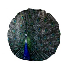 Peacock Four Spot Feather Bird Standard 15  Premium Flano Round Cushions by Nexatart