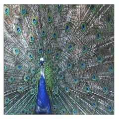 Peacock Four Spot Feather Bird Large Satin Scarf (square) by Nexatart