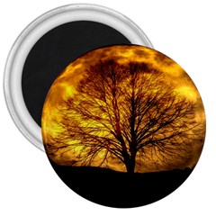 Moon Tree Kahl Silhouette 3  Magnets