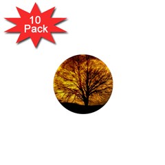 Moon Tree Kahl Silhouette 1  Mini Magnet (10 pack) 