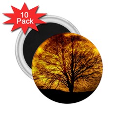 Moon Tree Kahl Silhouette 2.25  Magnets (10 pack) 