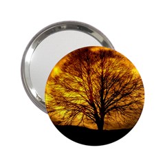 Moon Tree Kahl Silhouette 2.25  Handbag Mirrors