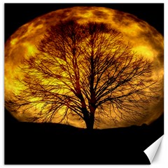 Moon Tree Kahl Silhouette Canvas 20  x 20  