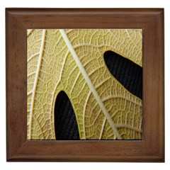 Yellow Leaf Fig Tree Texture Framed Tiles by Nexatart