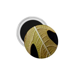 Yellow Leaf Fig Tree Texture 1 75  Magnets by Nexatart