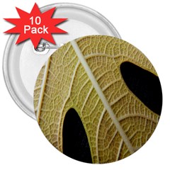 Yellow Leaf Fig Tree Texture 3  Buttons (10 Pack)  by Nexatart