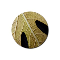 Yellow Leaf Fig Tree Texture Rubber Round Coaster (4 Pack) 