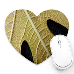 Yellow Leaf Fig Tree Texture Heart Mousepads by Nexatart