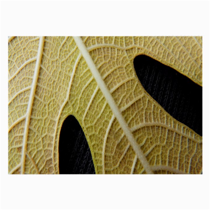 Yellow Leaf Fig Tree Texture Large Glasses Cloth