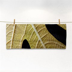 Yellow Leaf Fig Tree Texture Cosmetic Storage Cases by Nexatart