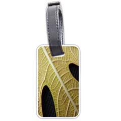 Yellow Leaf Fig Tree Texture Luggage Tags (one Side)  by Nexatart