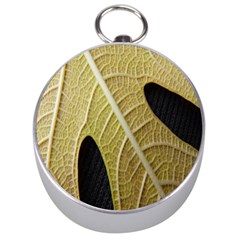 Yellow Leaf Fig Tree Texture Silver Compasses by Nexatart