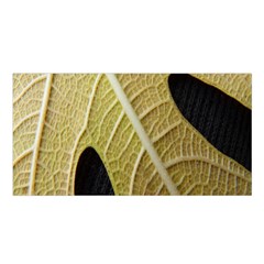 Yellow Leaf Fig Tree Texture Satin Shawl by Nexatart