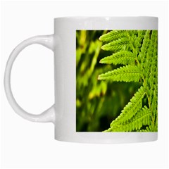 Fern Nature Green Plant White Mugs by Nexatart