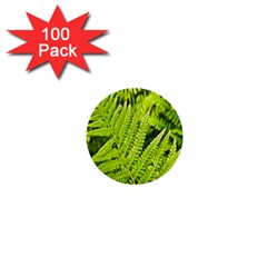 Fern Nature Green Plant 1  Mini Buttons (100 Pack)  by Nexatart