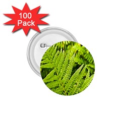 Fern Nature Green Plant 1 75  Buttons (100 Pack)  by Nexatart