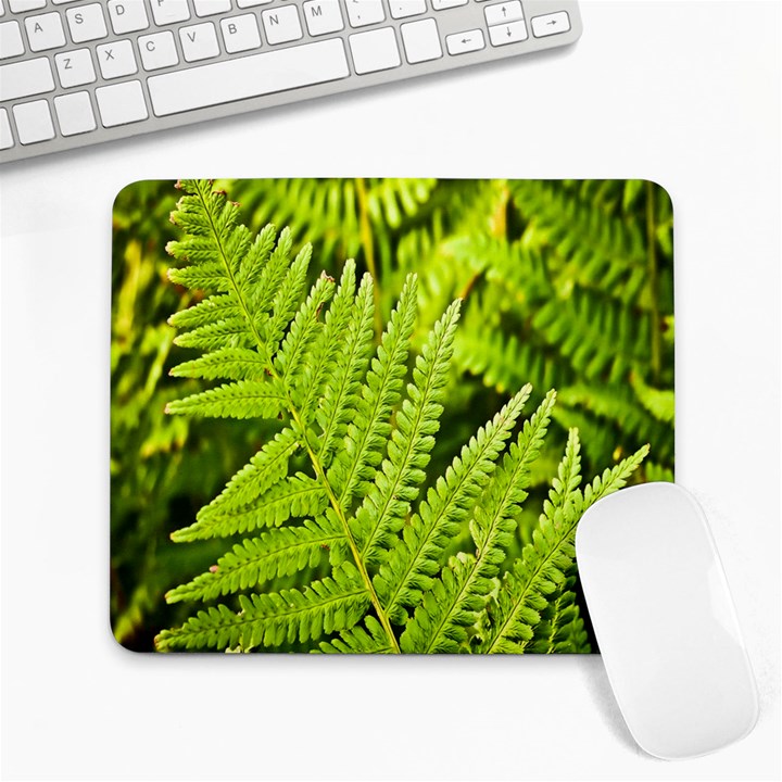 Fern Nature Green Plant Large Mousepads