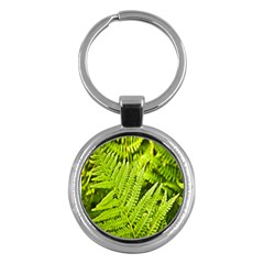 Fern Nature Green Plant Key Chains (round)  by Nexatart