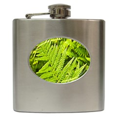 Fern Nature Green Plant Hip Flask (6 Oz) by Nexatart