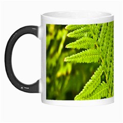 Fern Nature Green Plant Morph Mugs by Nexatart