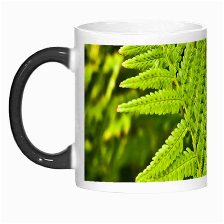 Fern Nature Green Plant Morph Mugs