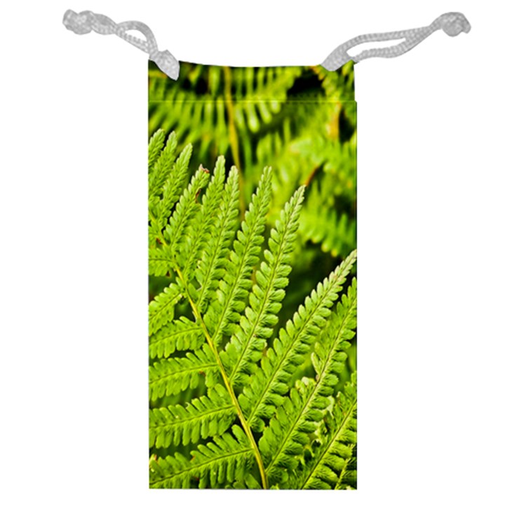 Fern Nature Green Plant Jewelry Bag