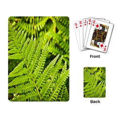 Fern Nature Green Plant Playing Card by Nexatart