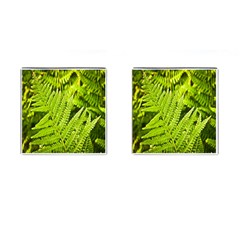 Fern Nature Green Plant Cufflinks (square) by Nexatart