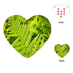 Fern Nature Green Plant Playing Cards (heart)  by Nexatart