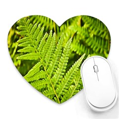 Fern Nature Green Plant Heart Mousepads by Nexatart