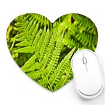 Fern Nature Green Plant Heart Mousepads Front