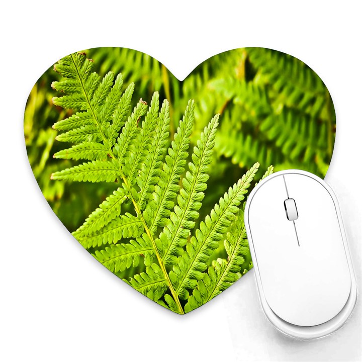 Fern Nature Green Plant Heart Mousepads