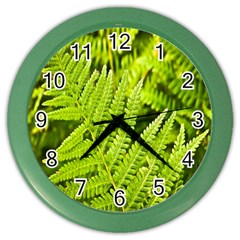 Fern Nature Green Plant Color Wall Clocks by Nexatart