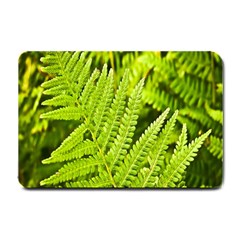 Fern Nature Green Plant Small Doormat  by Nexatart