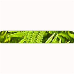 Fern Nature Green Plant Small Bar Mats by Nexatart