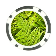 Fern Nature Green Plant Poker Chip Card Guard by Nexatart