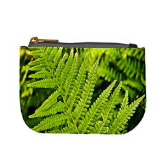 Fern Nature Green Plant Mini Coin Purses by Nexatart