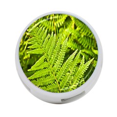 Fern Nature Green Plant 4-port Usb Hub (one Side)