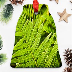 Fern Nature Green Plant Ornament (bell) by Nexatart