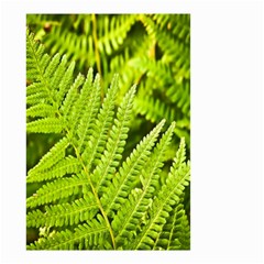 Fern Nature Green Plant Small Garden Flag (two Sides) by Nexatart